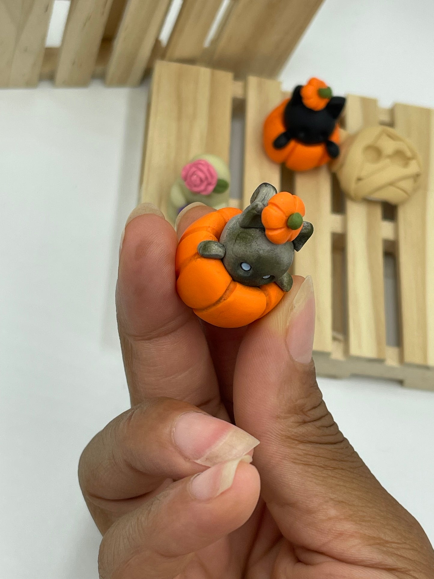 Magical Kitties (Harry Potter Inspired)