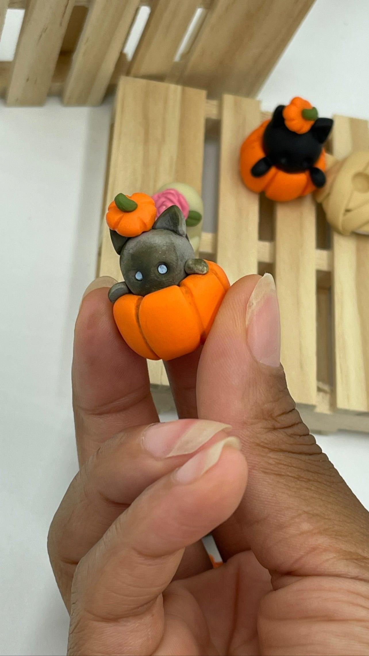 Magical Kitties (Harry Potter Inspired)