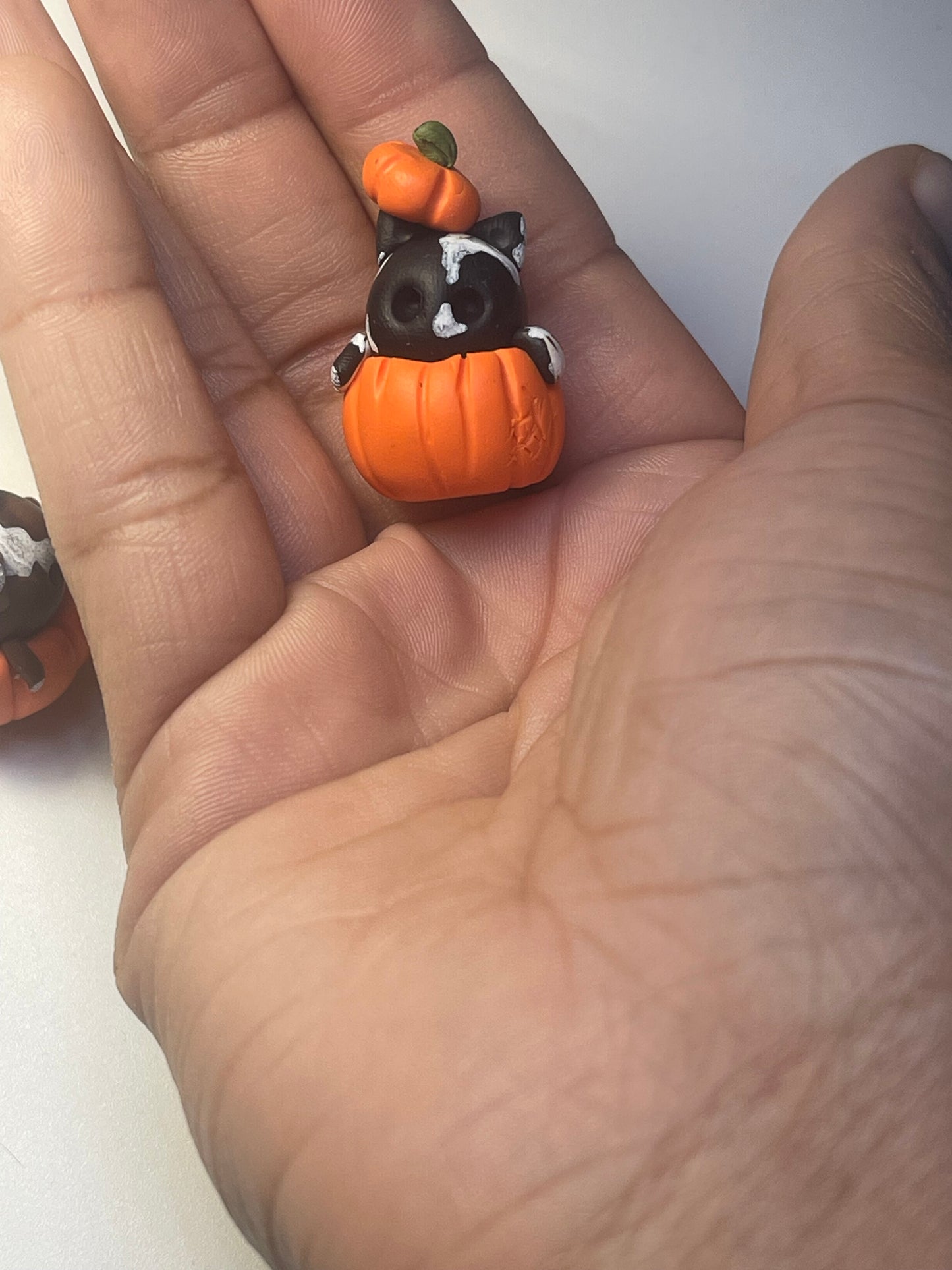 Magical Kitties (Harry Potter Inspired)