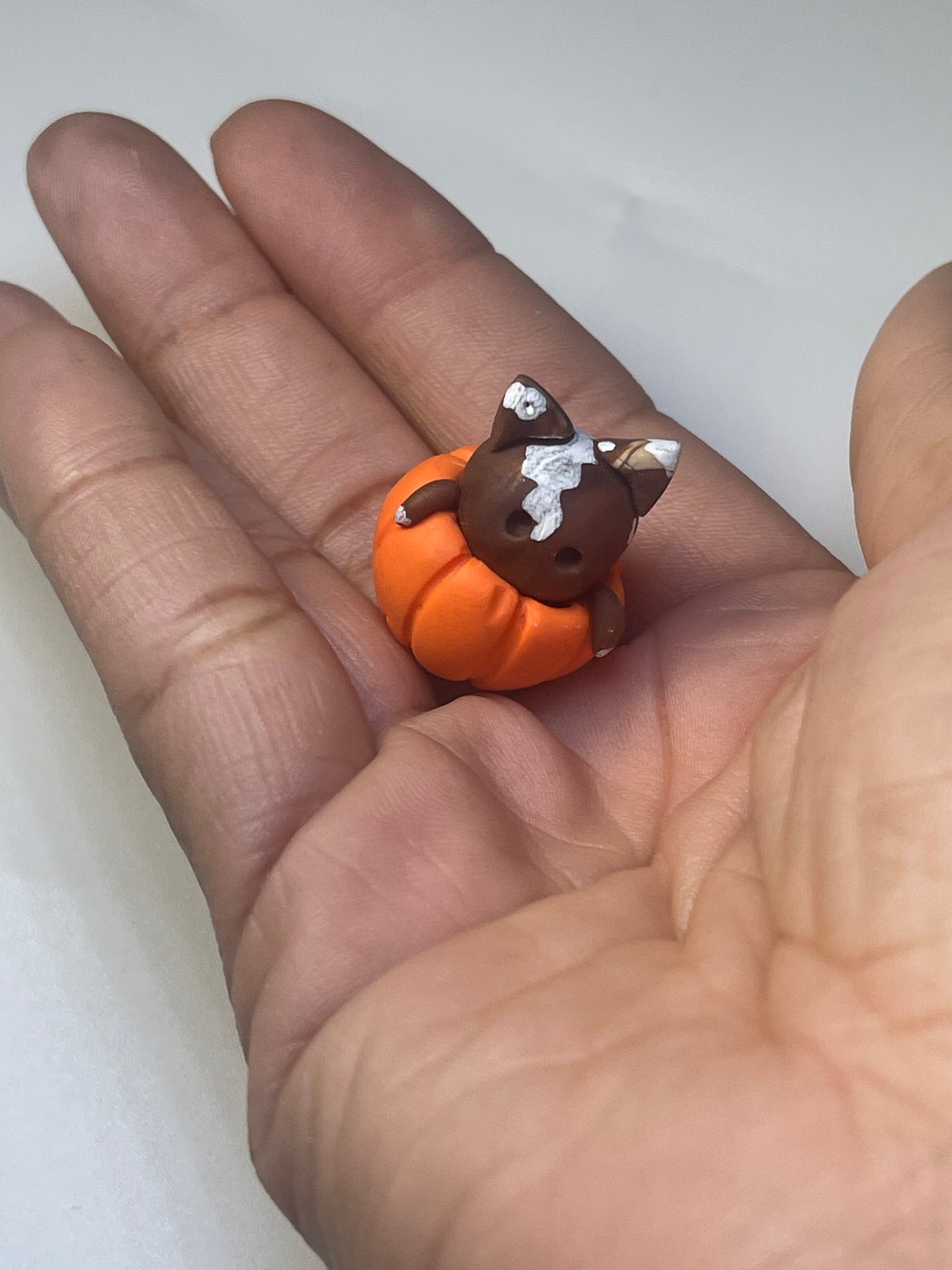 Magical Kitties (Harry Potter Inspired)